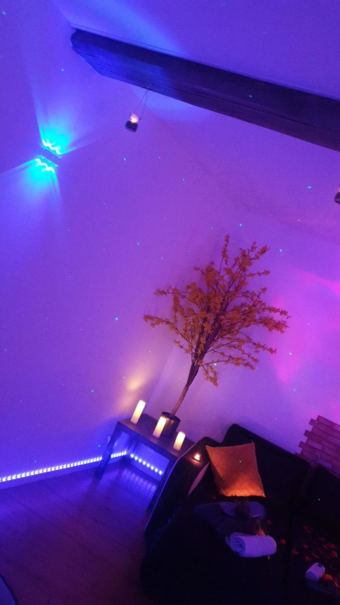Arbre décoratif et éclairage LED d'ambiance dans un coin du salon