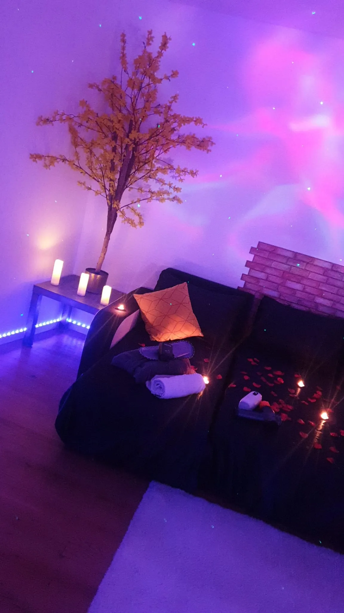 Salon romantique avec arbre décoratif et pétales de rose